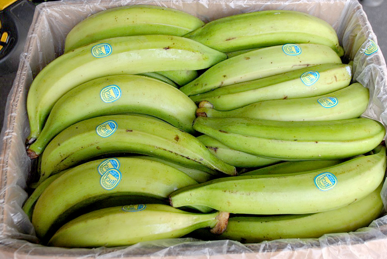 UNRIPE PLANTAIN 22KG